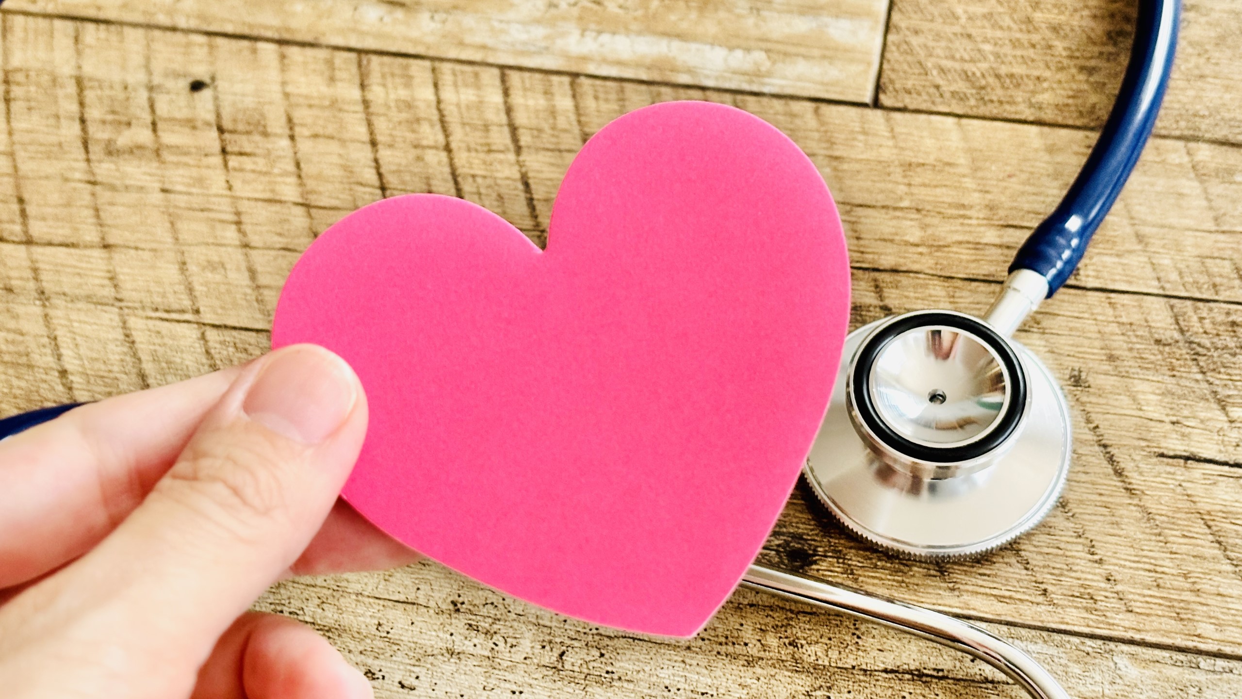 製品紹介のビジュアル